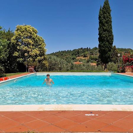 Villa La Romita Ospitalita Rurale Familiare Montisi Exterior foto