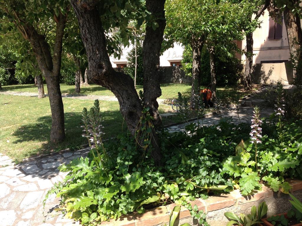 Villa La Romita Ospitalita Rurale Familiare Montisi Exterior foto